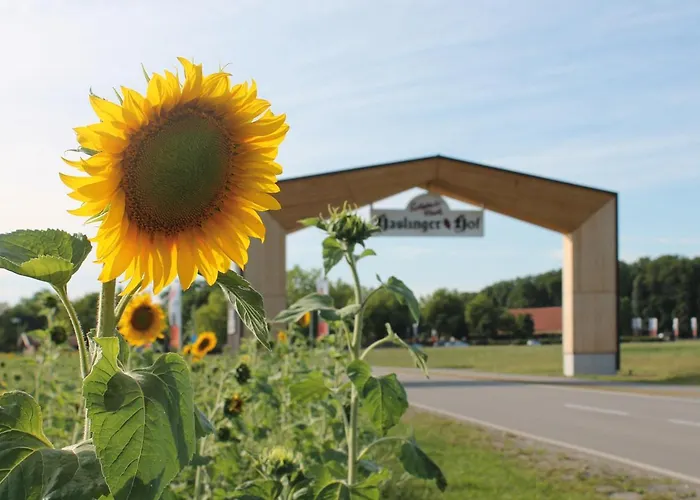 Am Haslinger Hof 호텔 바트푸징